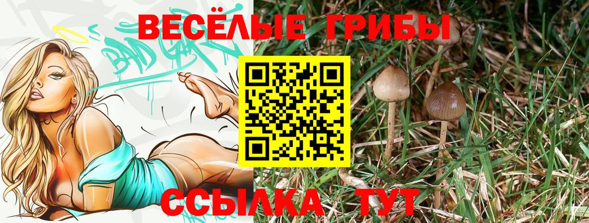 Галлюциногенные грибы мицелий Ржев